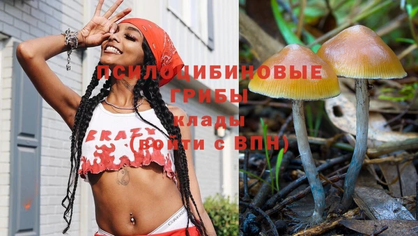 герыч Алзамай