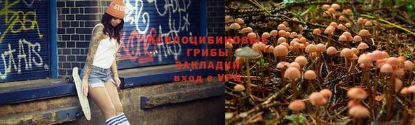 круглые Алексин