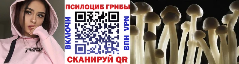 наркотики  Борзя  OMG вход  shop как зайти  Псилоцибиновые грибы прущие грибы 